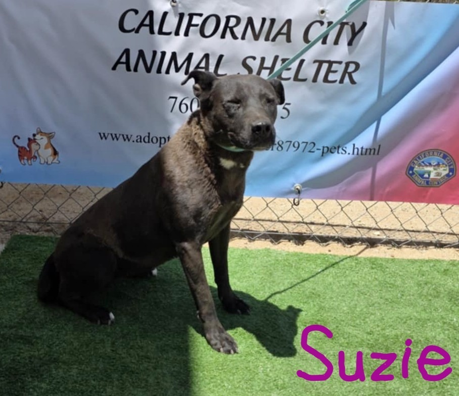 Suzie