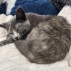 Princess Penelope photo 1