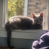 Princess Penelope photo 3