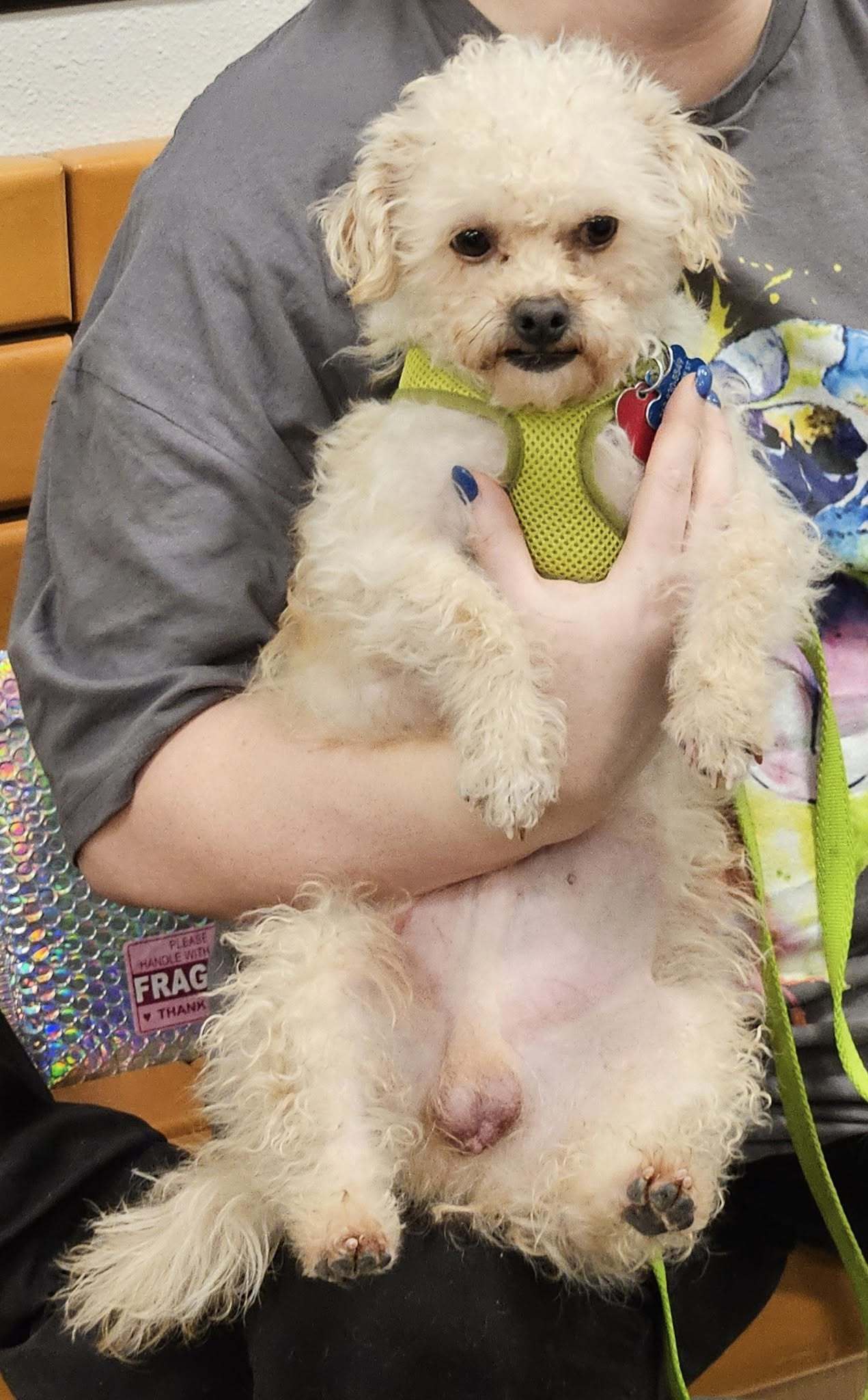 Ernie
