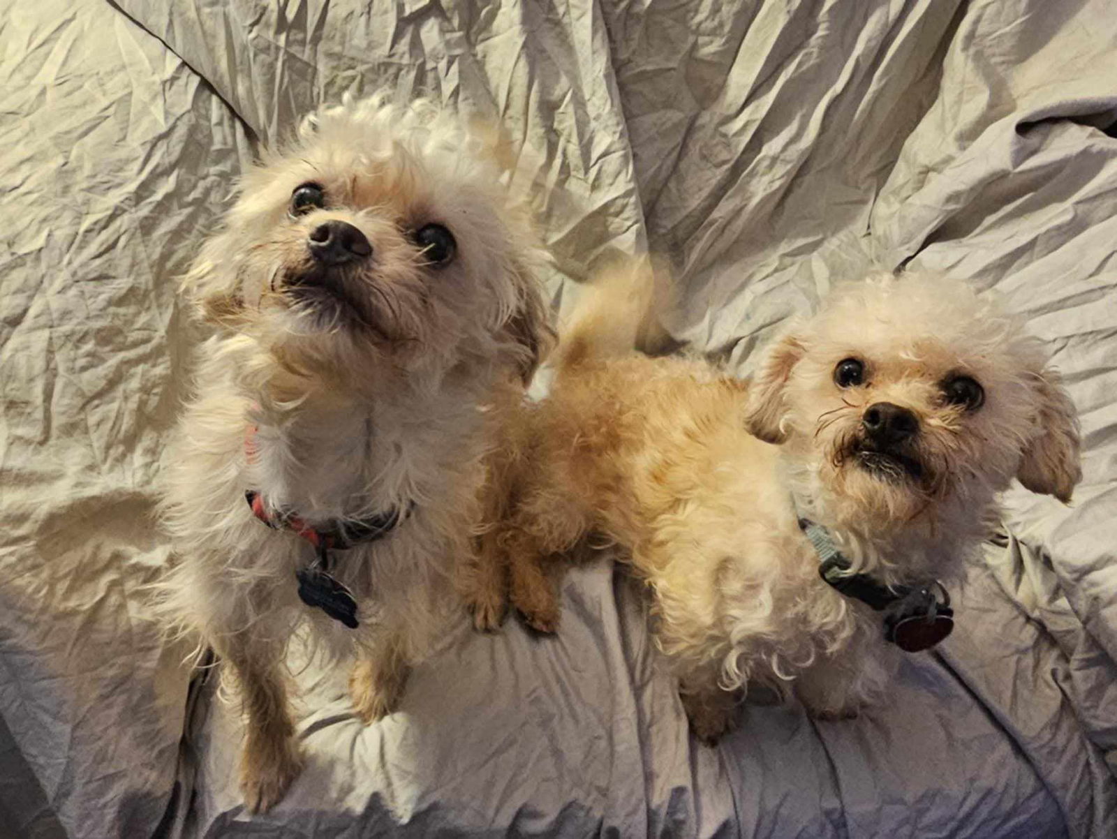 Ernie