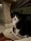 Dorothy photo 1