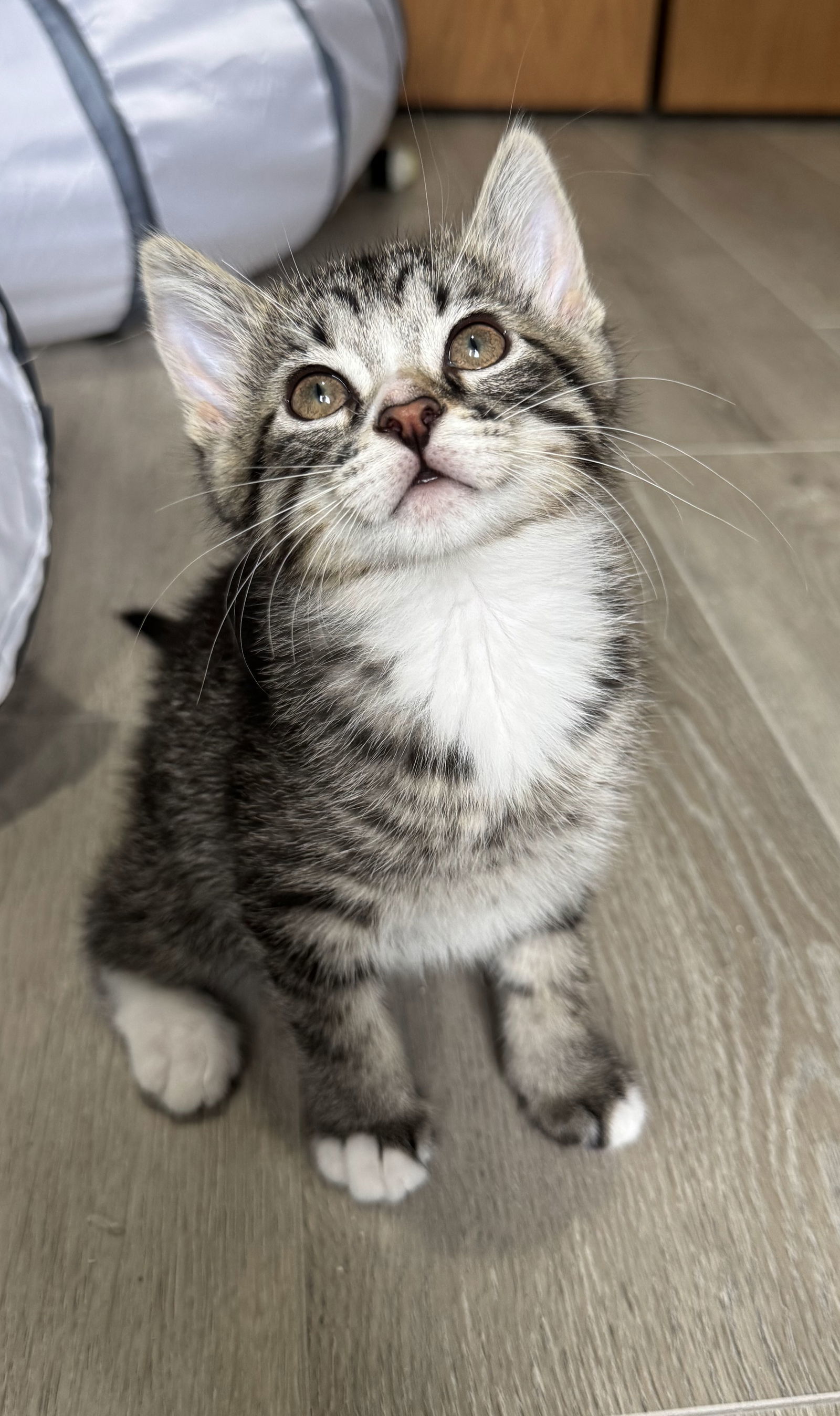 Tony