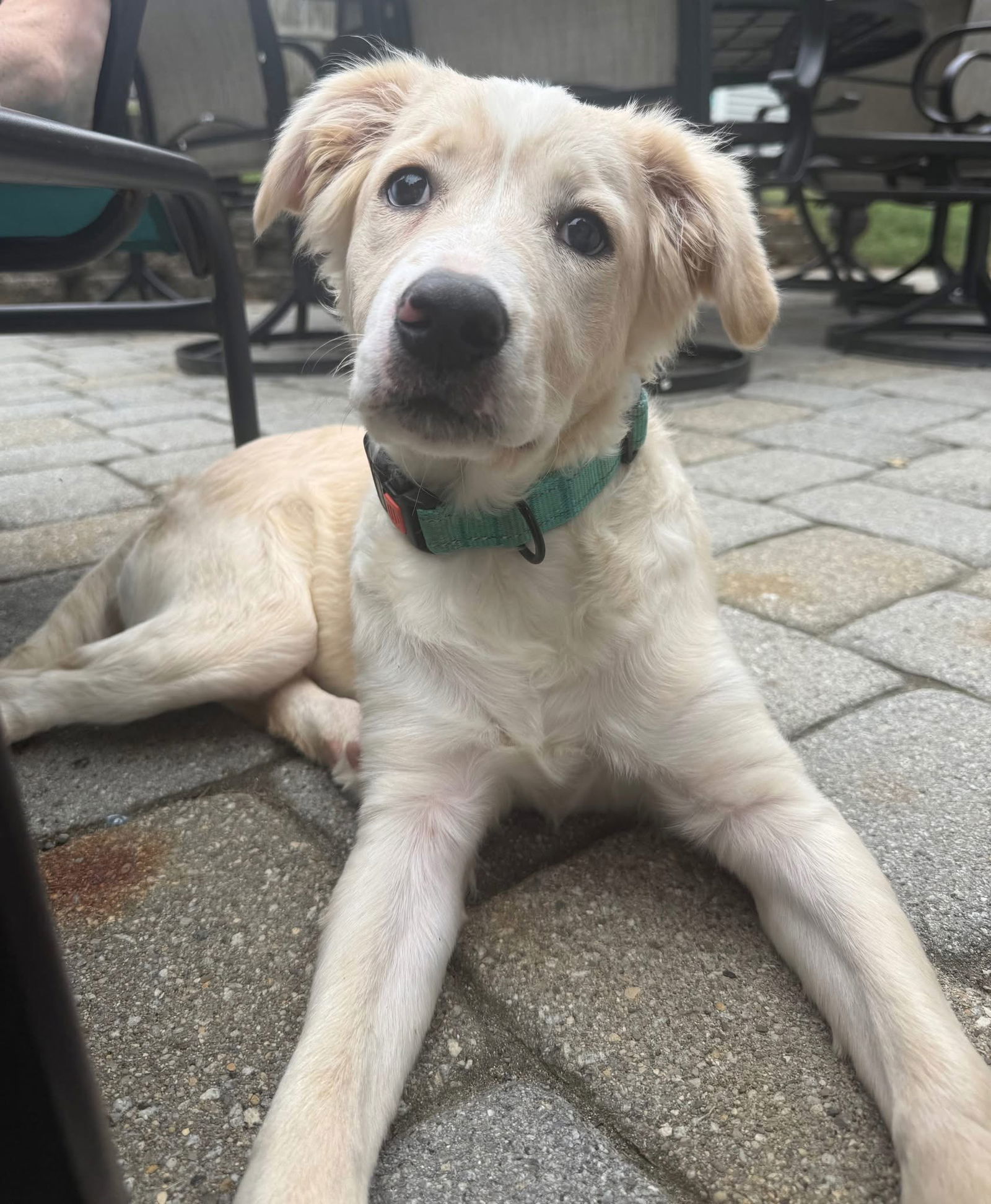 Winston