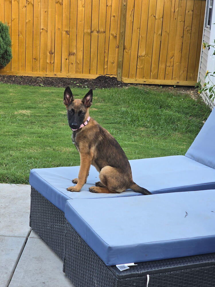Literature Litter - Elizabeth - Located in SC