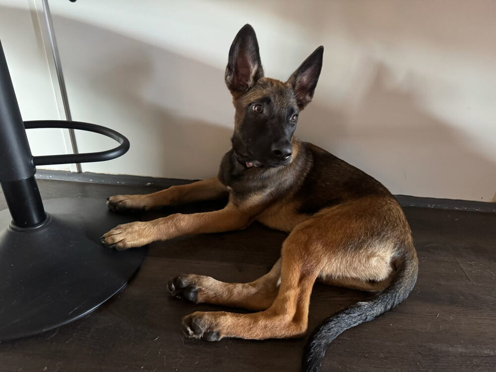 Literature Litter - Elizabeth - Located in SC