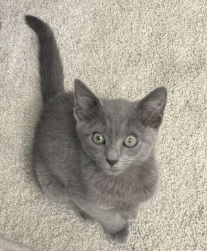 Christy was initially shy but she has come out of her shell and she is now a total love bug