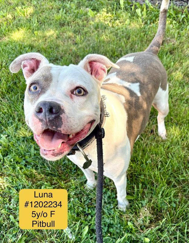 Luna