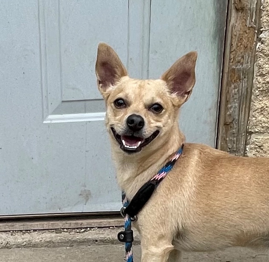 Chewy
