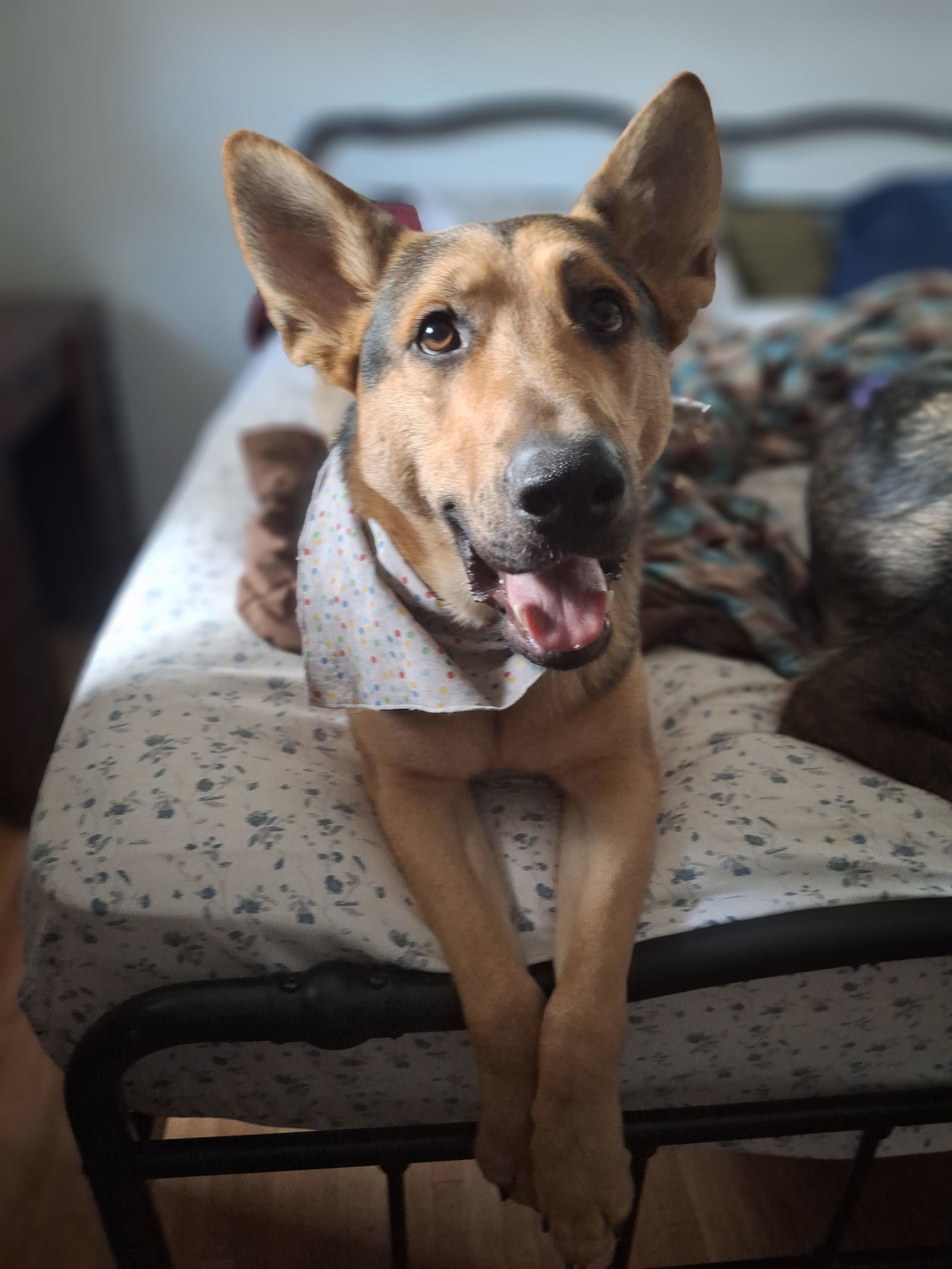 Odin