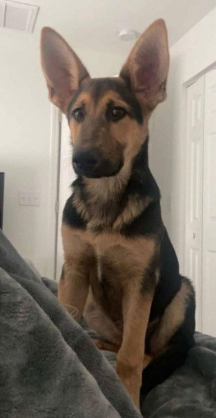 Odin