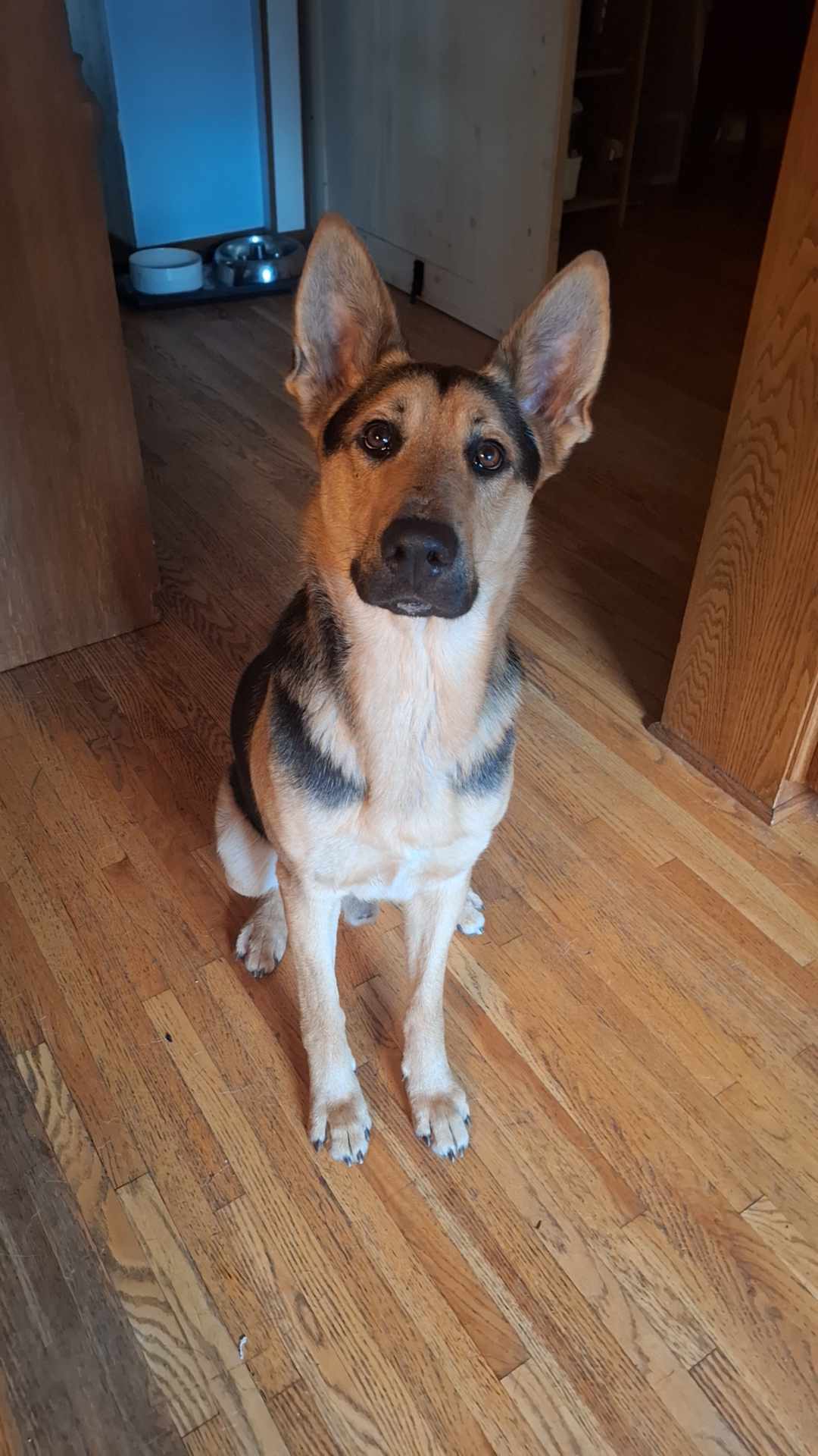 Odin