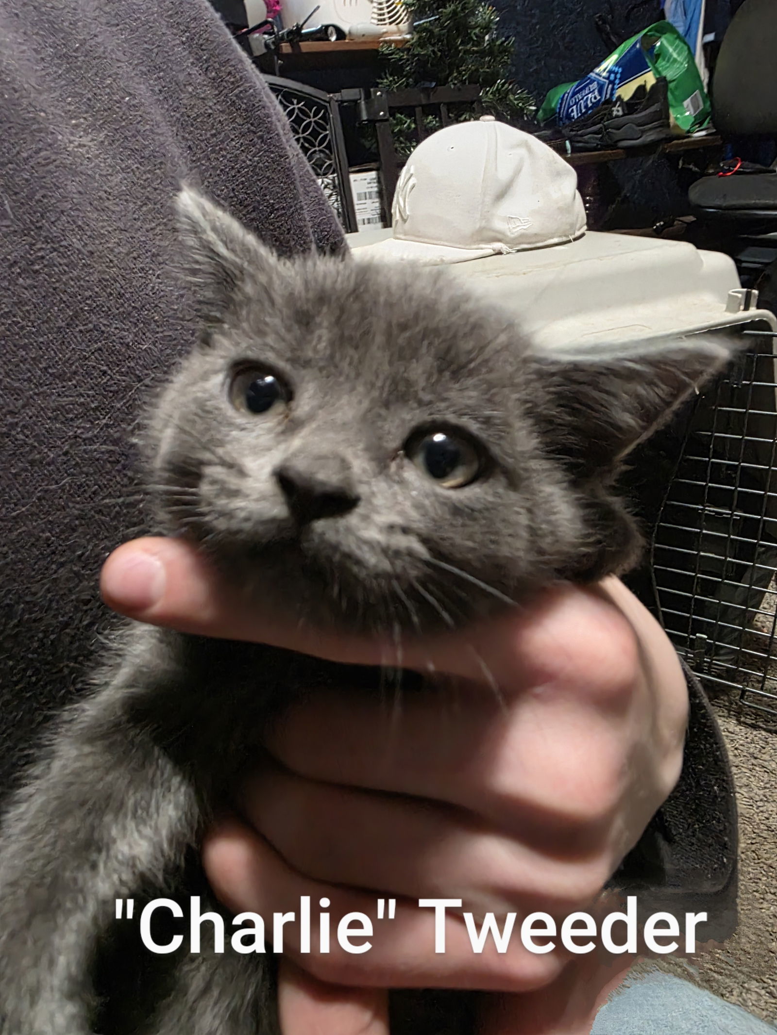 Charlie