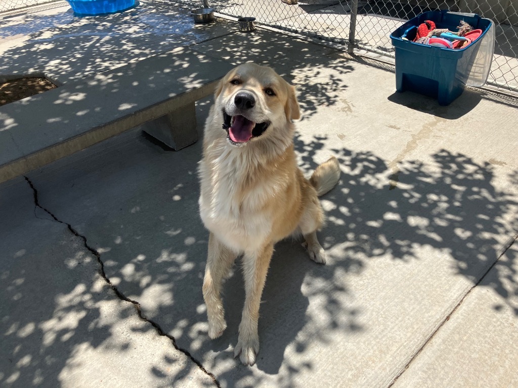 Odin