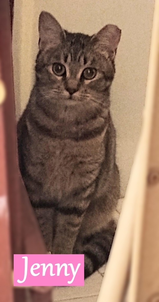 Jenny