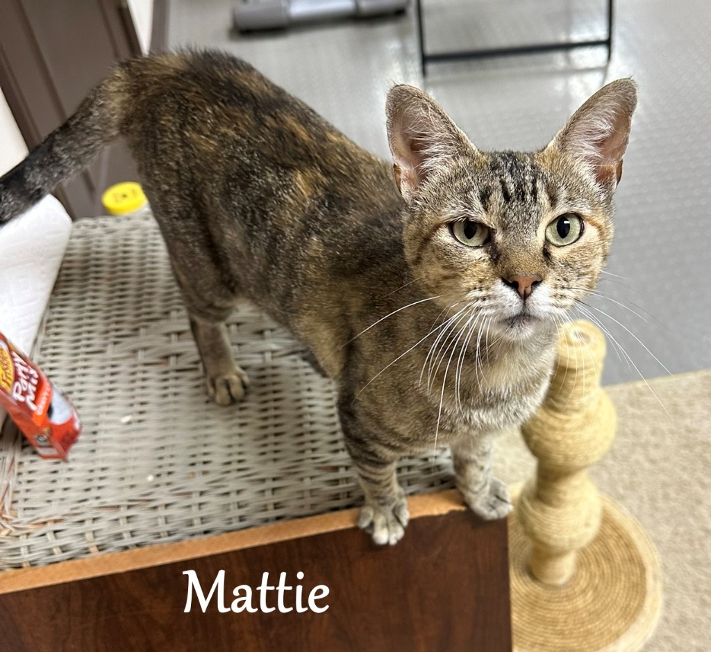 Mattie