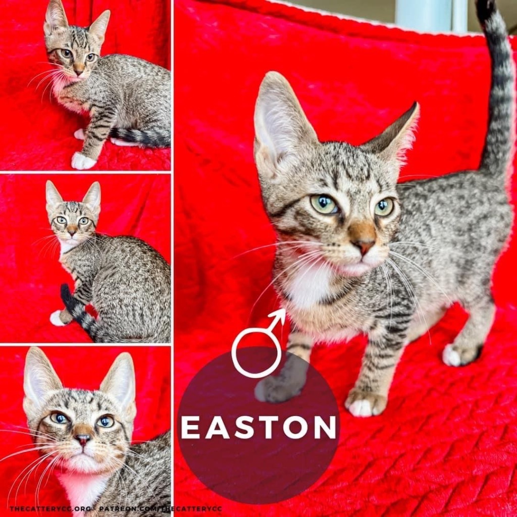 Easton