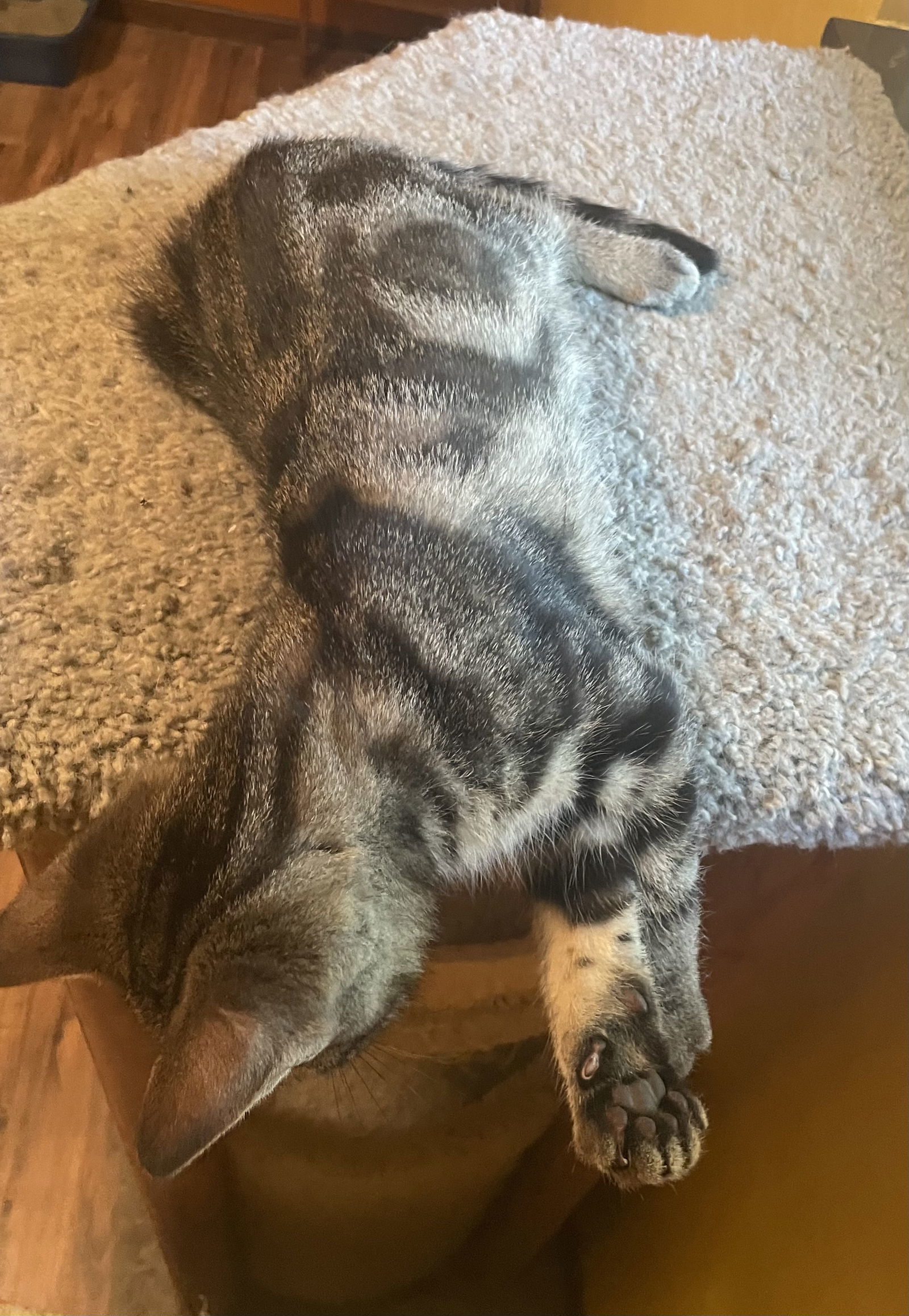 Kit