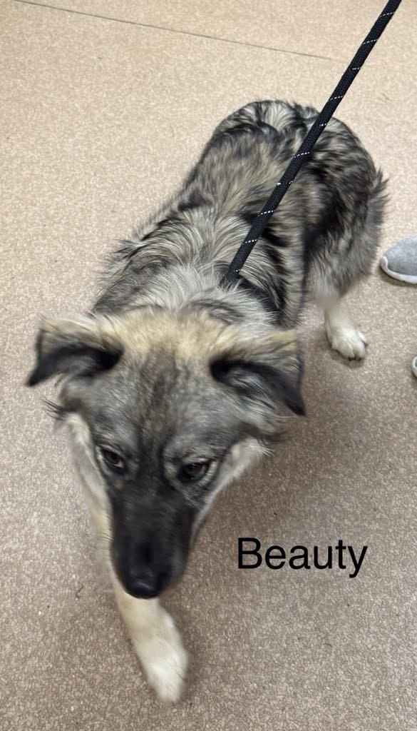 Beauty