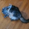 Cinders photo 3