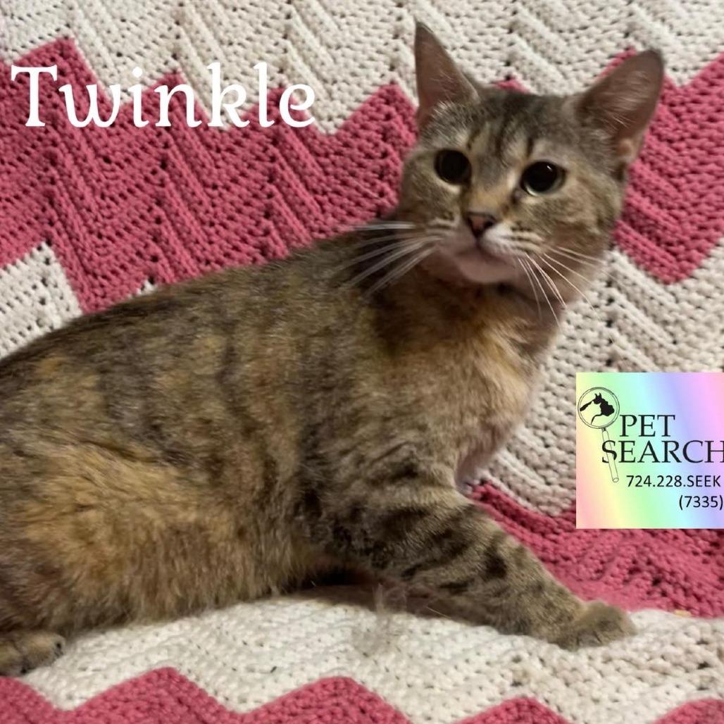 Twinkle