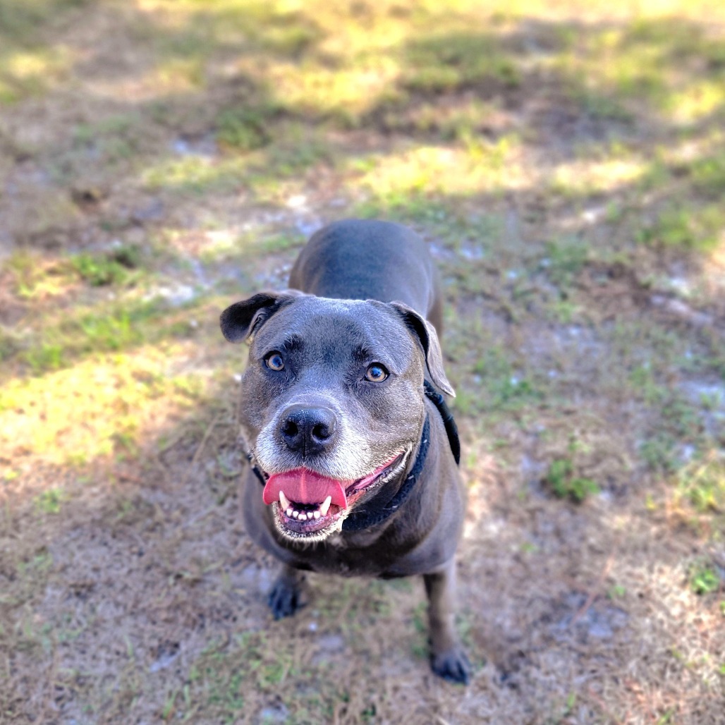 Kali