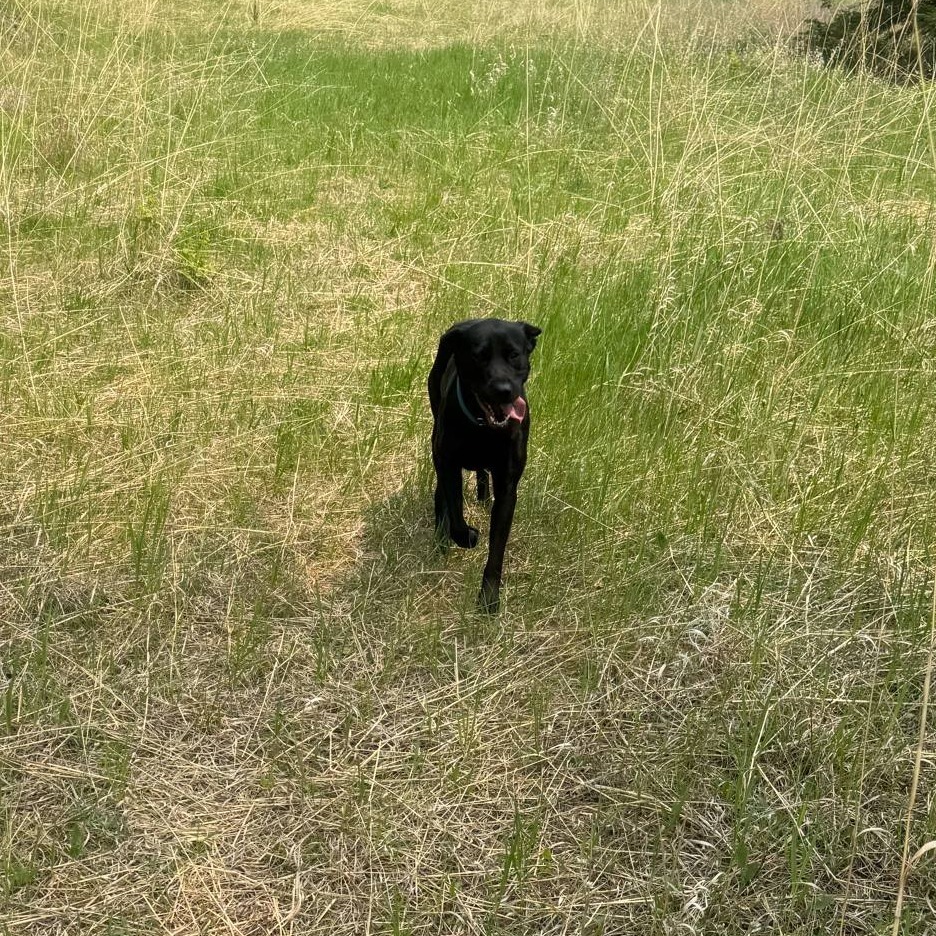 Coco