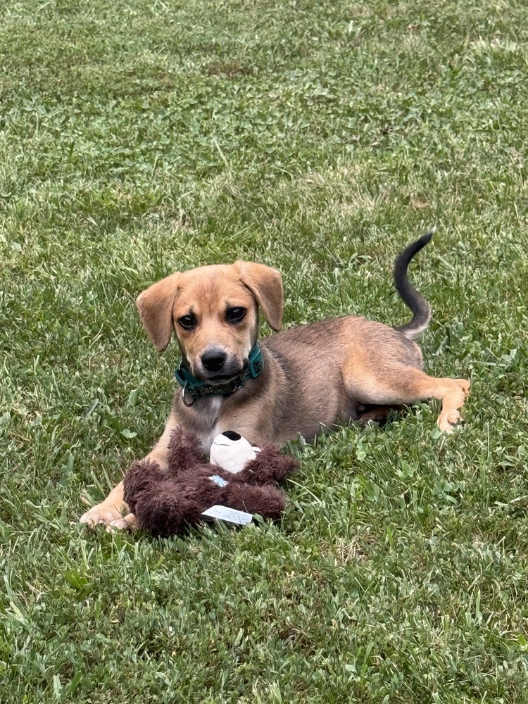 Baby Jenga