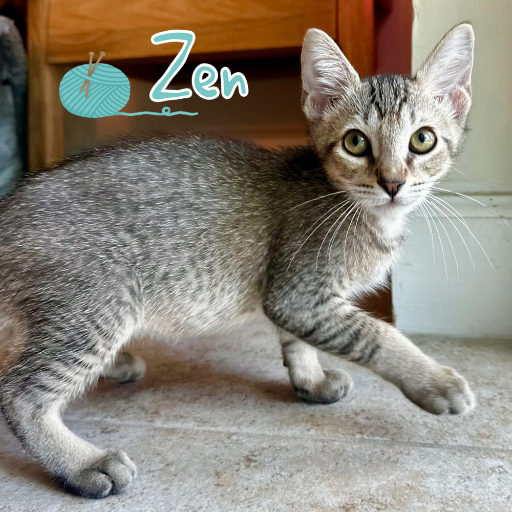 Zen