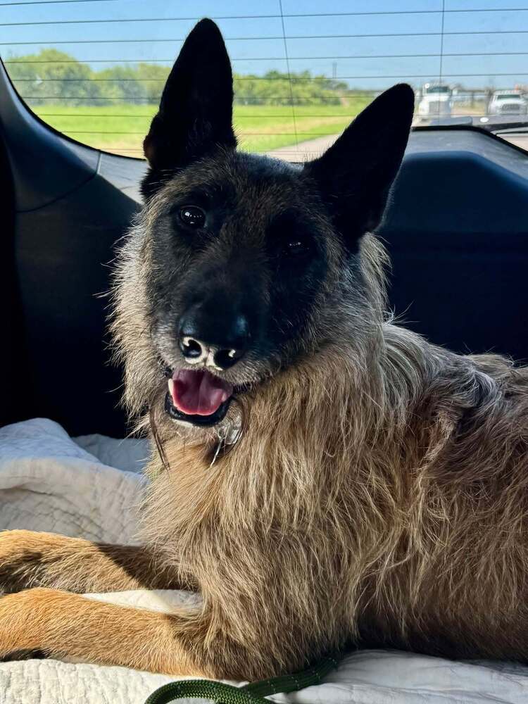 Bently - Located in Oklahoma