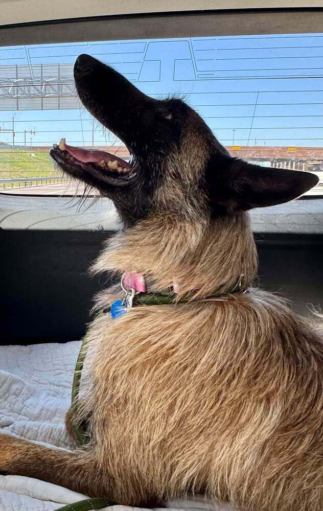 Bently - Located in Oklahoma
