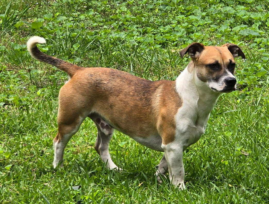 Tucker