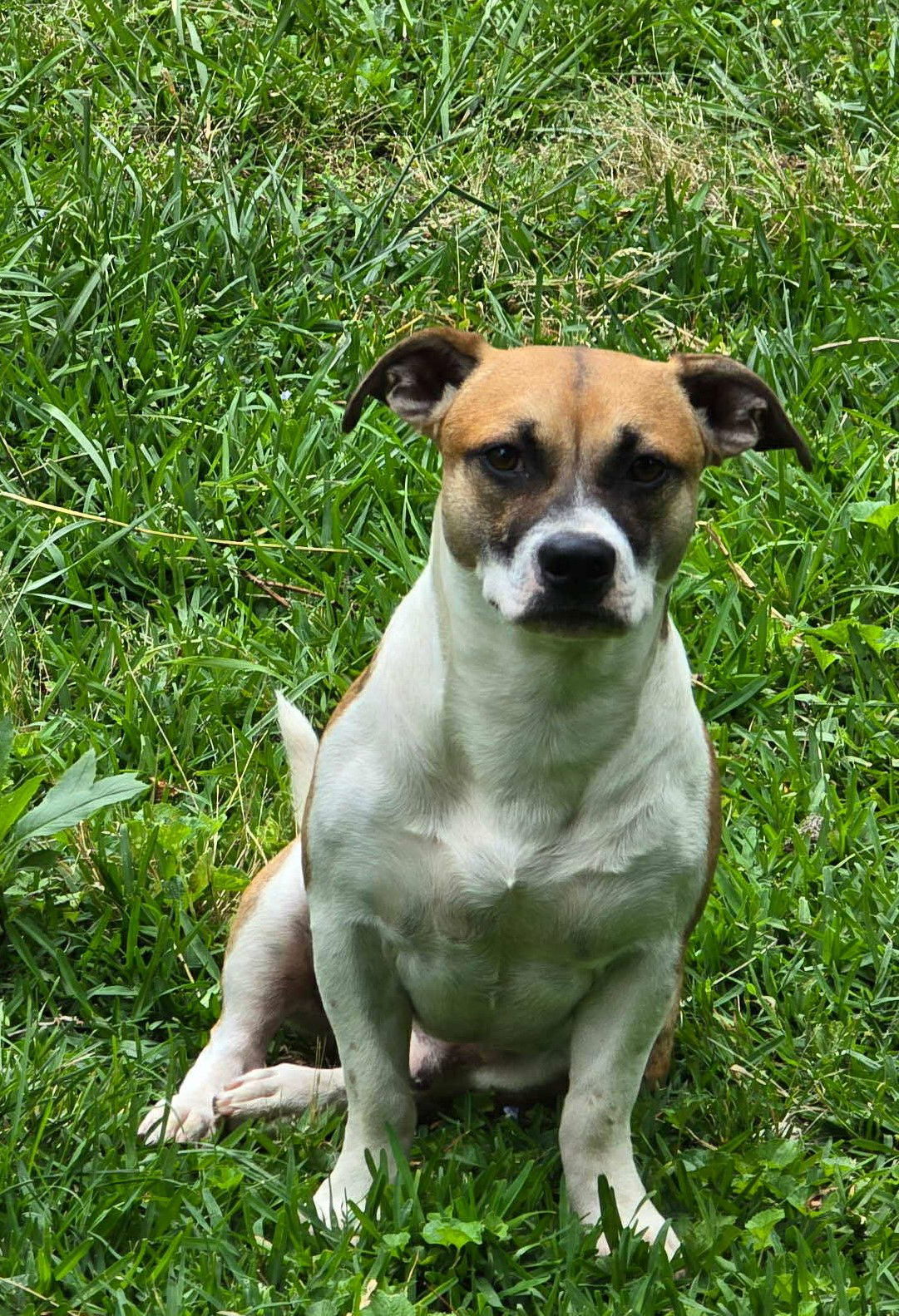 Tucker