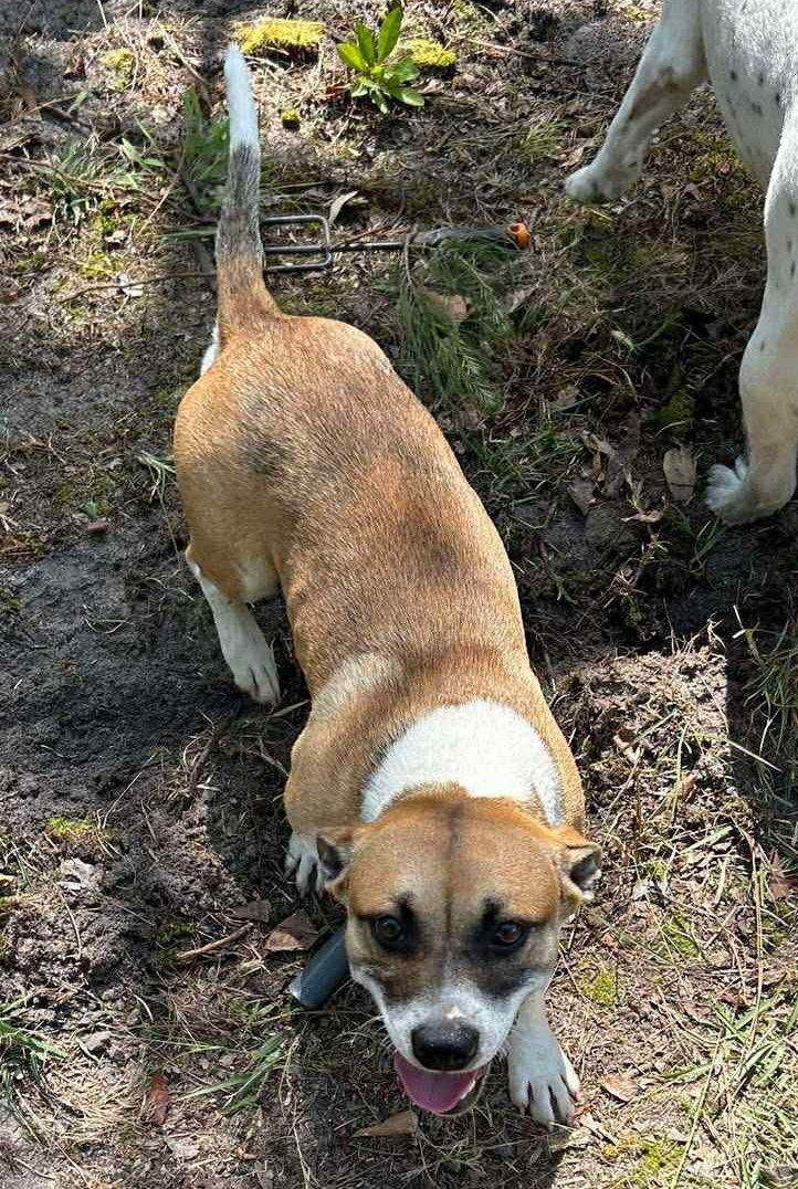 Tucker