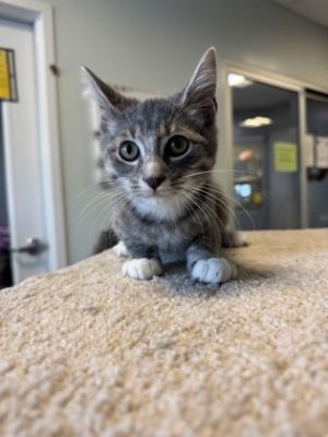 Ever want to go on vacation but cant Well now every day can be a vacation with Tybee This cute