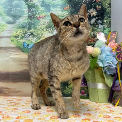Dorothy