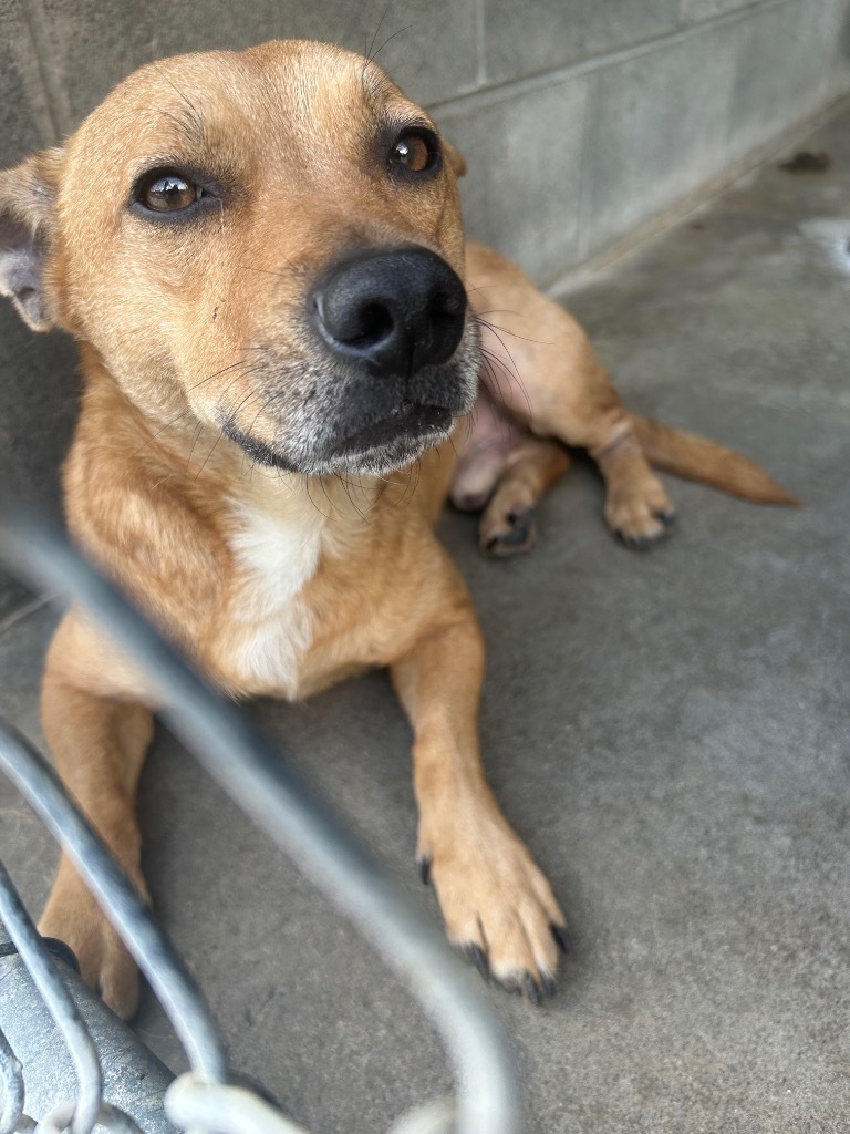 Bruce-Pending Behavior
