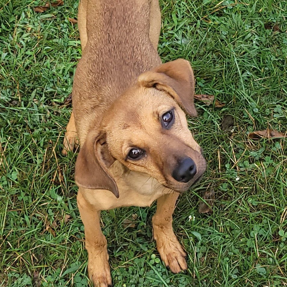 Keeva