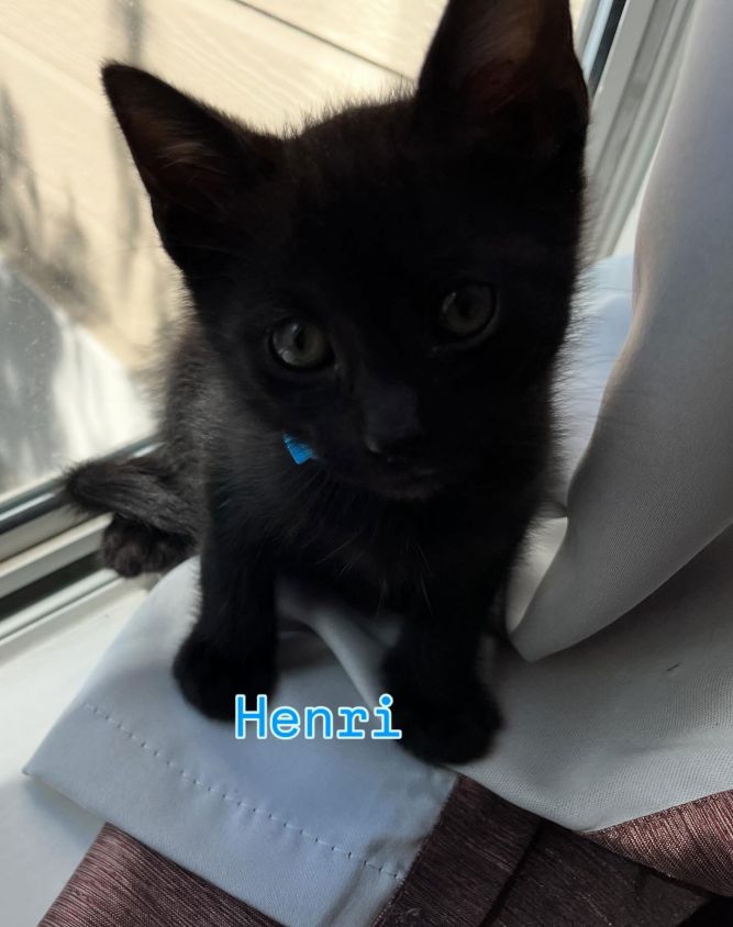 Henri