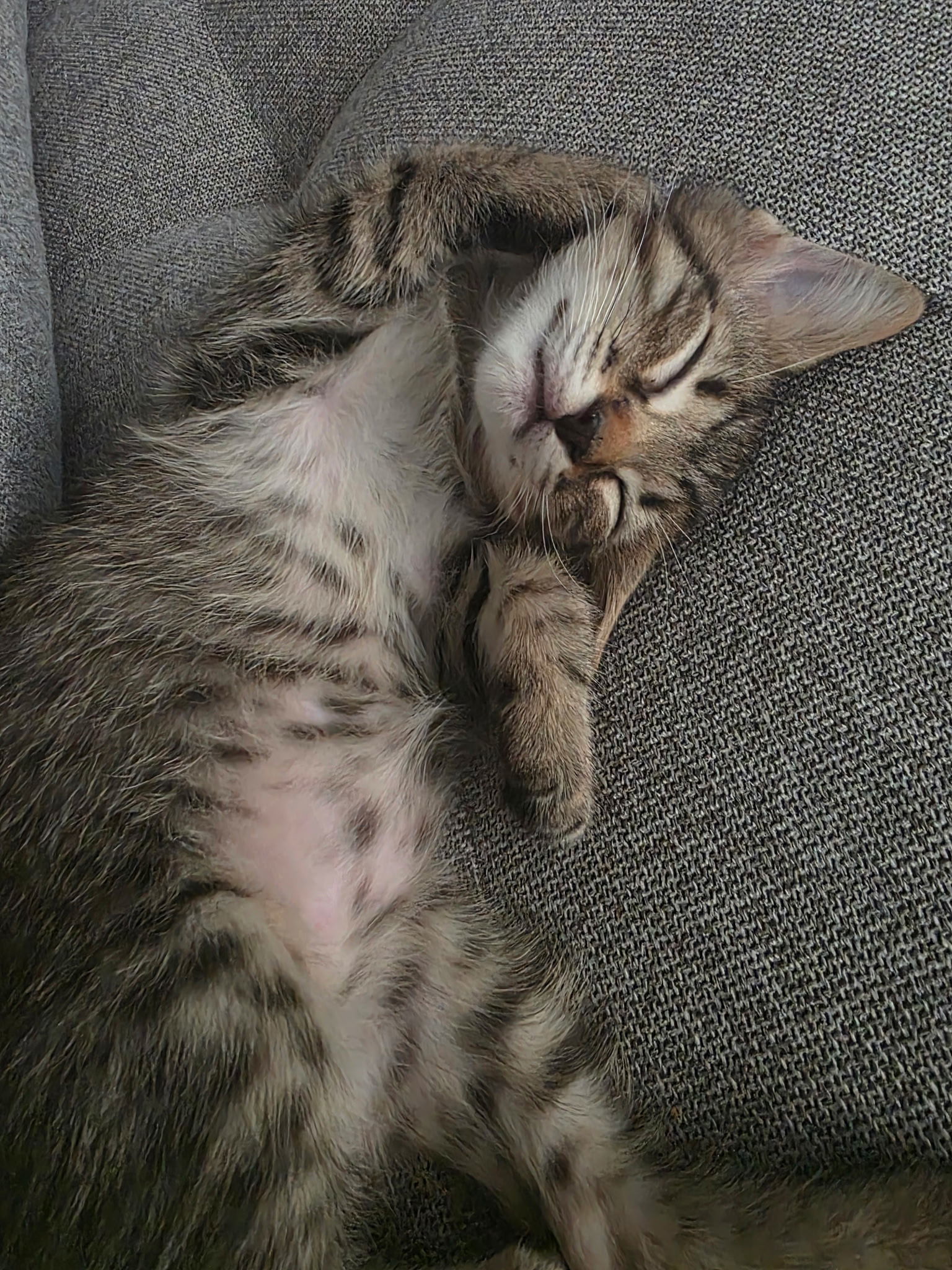 Baby "Vel" Velcro