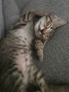 Baby &#34;Vel&#34; Velcro photo 3