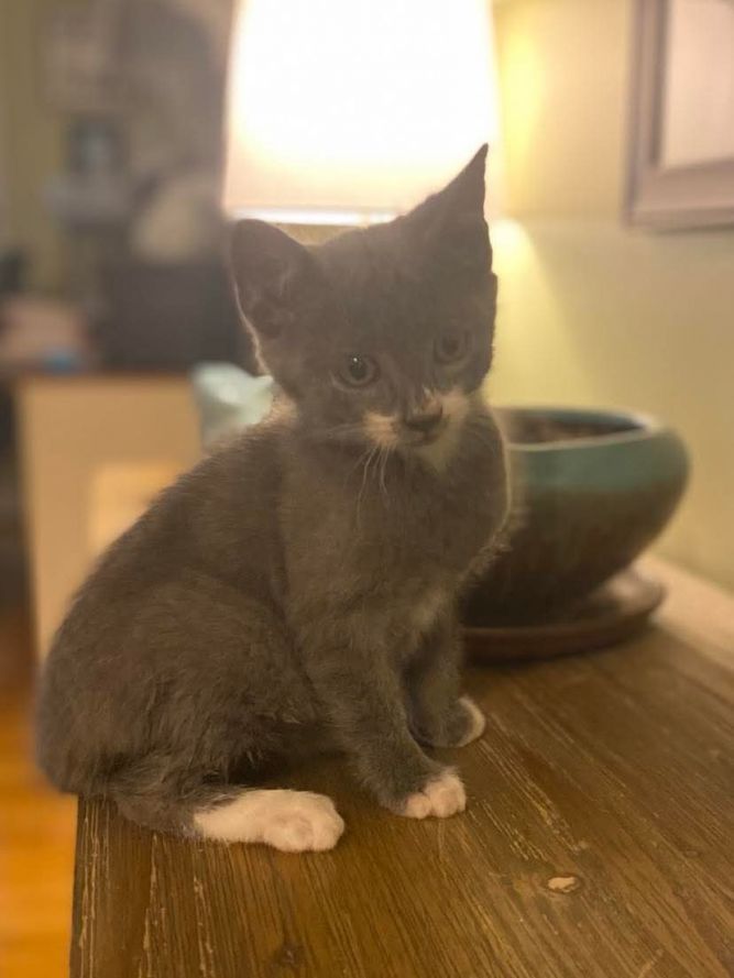 Benito