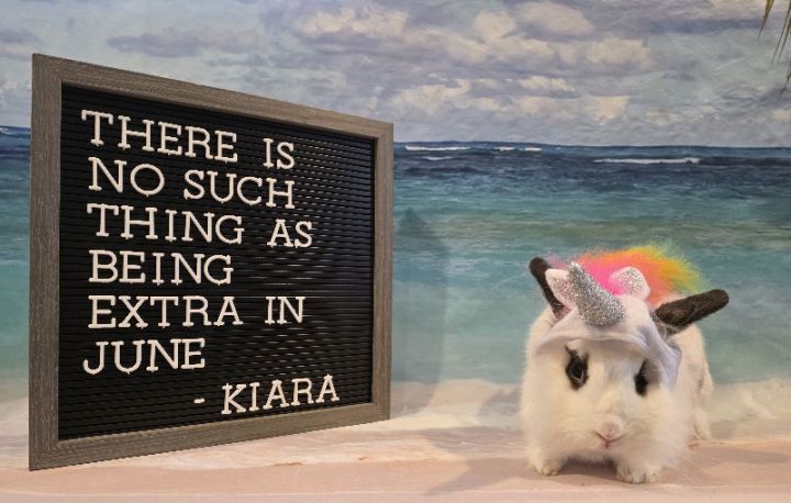 Kiara 1