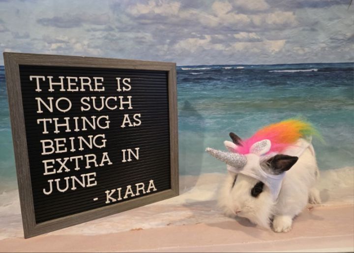 Kiara 2