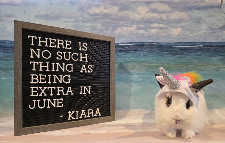 Kiara 3