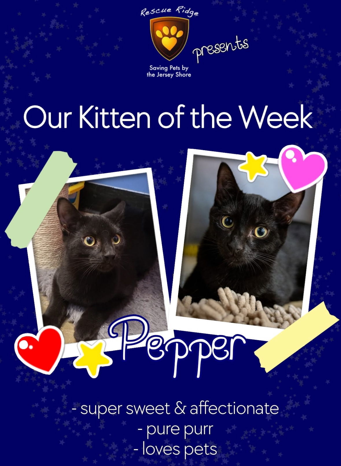 Pepper