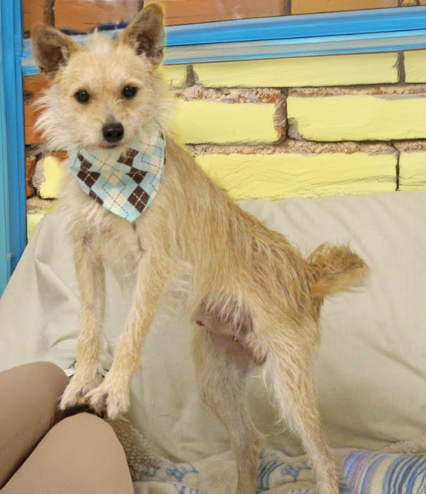 Flynn in TX 1