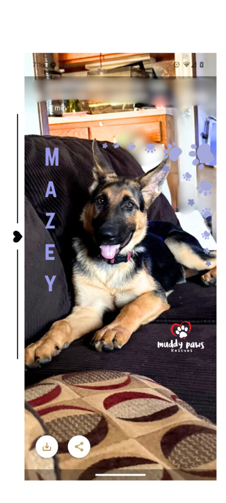 Mazey