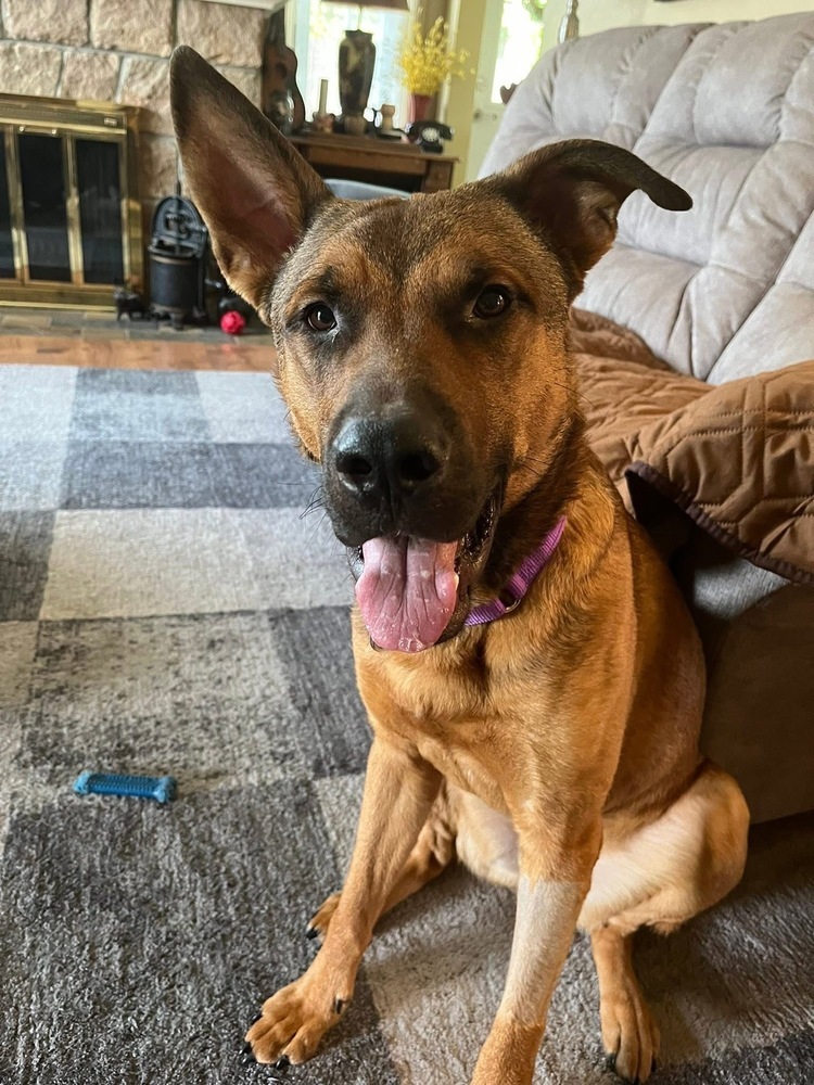 Cooper