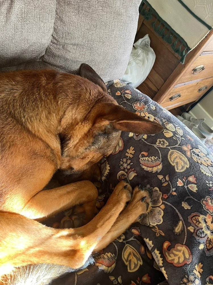 Cooper